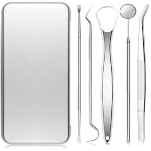 INF Dental Tools, 5 Piecies Picks til tandrensning Sølv