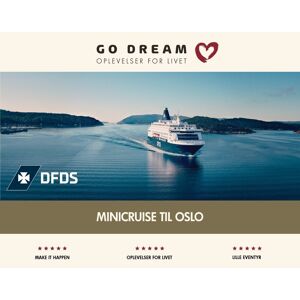 Go Dream Oplevelsesgave - Minicruise Til Oslo