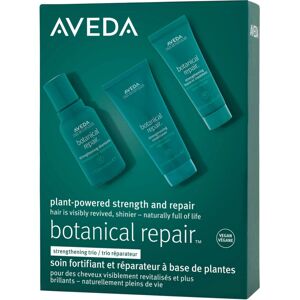 Aveda Botanical Repair Discovery Set