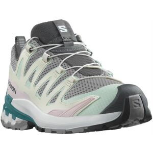 Salomon XA Pro 3D V9 Womens, Gull / White 39