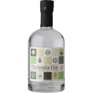 Nyheder gin Thylandia, Gin - Gin