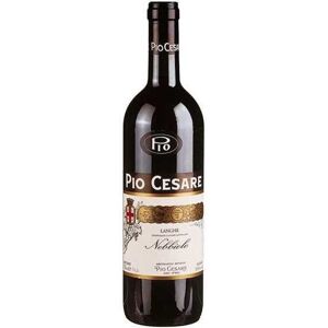 Pio Cesare, Langhe Nebbiolo 2020 (v/6stk) - Rødvin