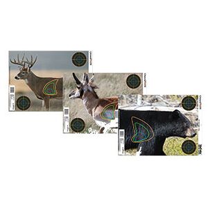 Champion Target Champion Visicolor Real Life - Bear, Deer & Antelope 12st