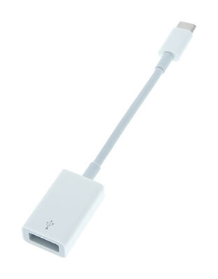 Apple USB C to USB Adaptor White