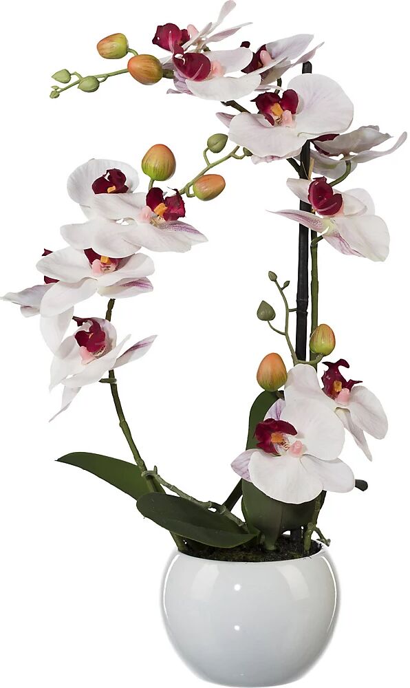 kaiserkraft Phalaenopsis, altura 420 mm, en vasija de cerámica, flores rosas, impresión 3D