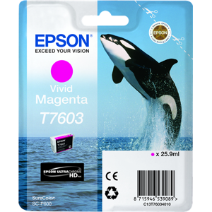 Epson T7603 Cartouche d'encre Magenta Original C13T76034010