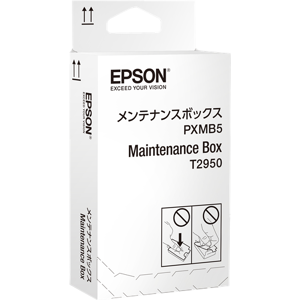 Epson C13T295000 Unité de maintenance  Original T2950
