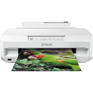 Epson C11CD36402 Imprimante  Original Expression Photo XP-55