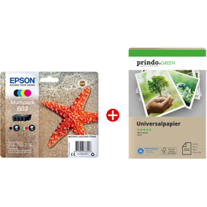 Epson + Prindo Green Recyclingpapier 500 Blatt Value Pack Noir(e) / Cyan / Magenta / Jaune Original 603 MCVP 01