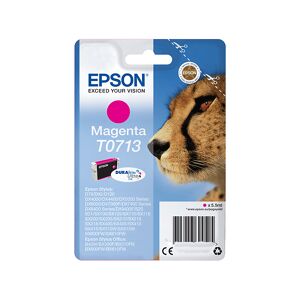 Epson C13T07134021