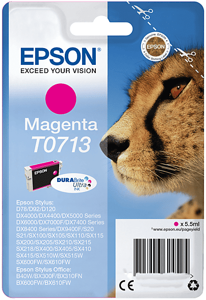 Epson C13T07134021