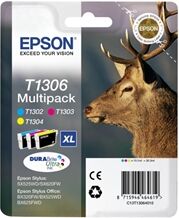 Epson T1306 Multipack - C13T13064012