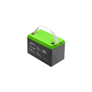 Qoltec - UPS-batteri - 12 V, 29.3 kg - gele - 100 Ah