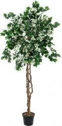 Europalms Bougainvillea, artificial plant, white, 180cm TILBUD NU europalm hvid