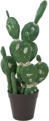 Europalms Mixed cactuses, artificial plant, green, 54cm kaktusser blandede