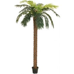 Phoenix Europalms Phoenix palm deluxe, artificial plant, 250cm TILBUD NU