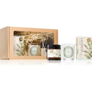 Flagolie Ritual For The Body Green Tea coffret cadeau 1 pcs