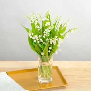 Interflora Bouquet de muguet - Livraison de fleurs - Interflora