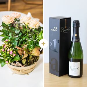 Interflora Livraison Fleurs et Champagne - Cadeau Anniversaire livré en 4H - Interflora