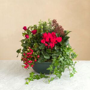 Amitie eternelle - Livraison de fleurs deuil - Interflora
