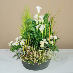 Interflora Pur réconfort - Livraison de fleurs deuil - Interflora