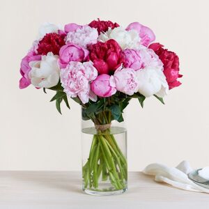 Bouquet de pivoines - Livraison Fleurs en 24H - Interflora