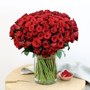 Brassees de 101 roses rouges Max Havelaar - Interflora - Livraison roses