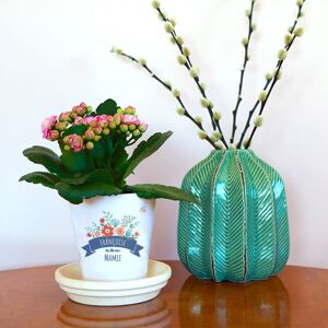 Interflora Cache-pot Fleuri - Interflora - Livraison de cadeaux personnalisés