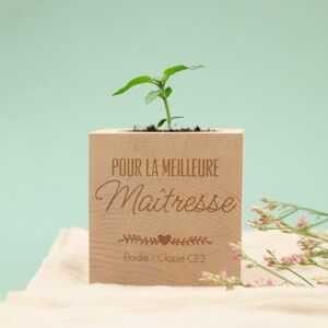 Ecocube Merci Maîtresse - Interflora - Livraison de cadeaux personnalises