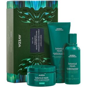 Aveda Coffret Botanical Repair™ Cadeaux Femme