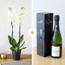 Orchidée et Champagne - Livraison Cadeau Anniversaire - Interflora