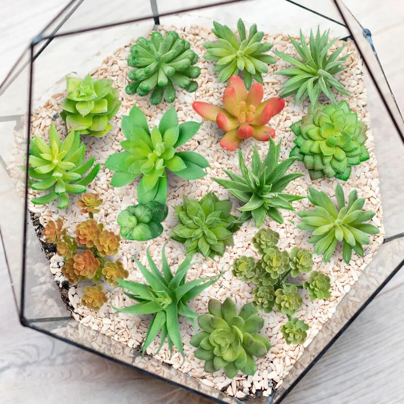 IDMarket Lot de 15 succulentes artificielles