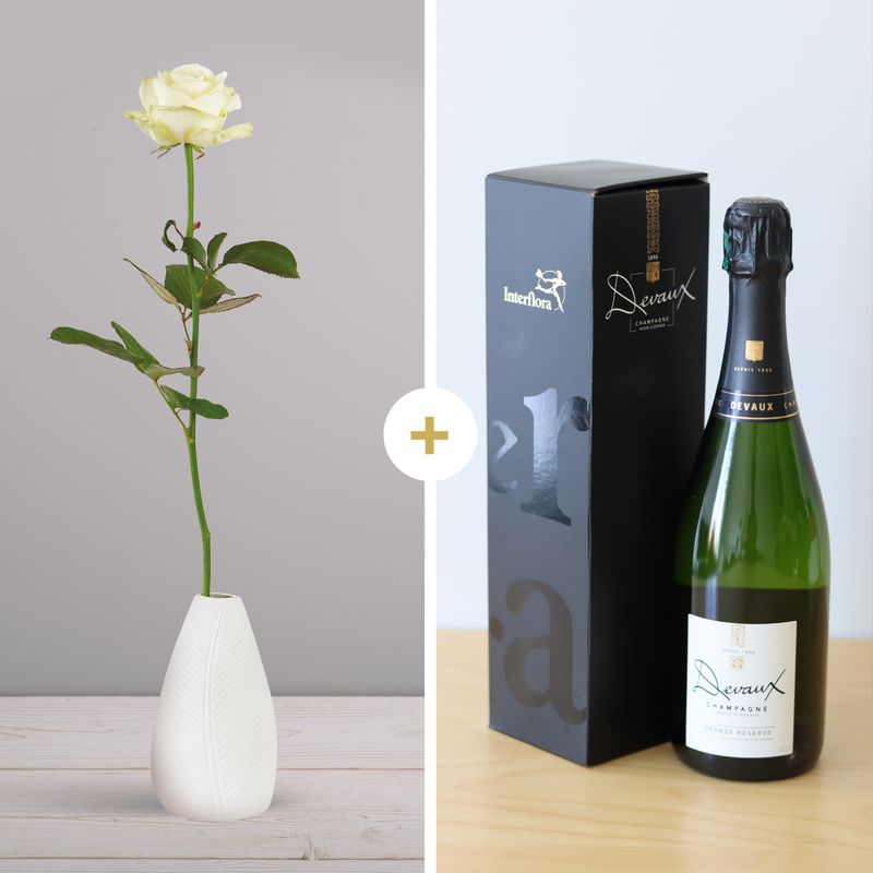 Rose blanche & champagne - Interflora Livraison rose et cadeau