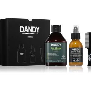 DANDY Beard gift box gift set (for beard)