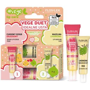 FlosLek Laboratorium Vege Lip Care Perfect Lips gift set (for lips)