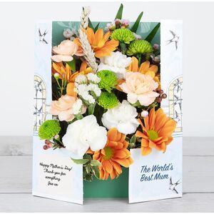 www.flowercard.co.uk Mother's Day Flowers Spray Carnations, Chrysanthemums, White Wheat Heads, Waxflower, Pittosporum and Chico Leaf