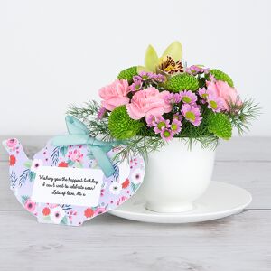 www.flowercard.co.uk Green Orchids and Pink Carnations with Ming Ferns, Santini and Chrysanthemum Teacup Birthday Flowers