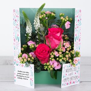 www.flowercard.co.uk Birthday Flowers with Dutch Rose, Kalanchoe, Veronica and Eucalyptus Gunnii