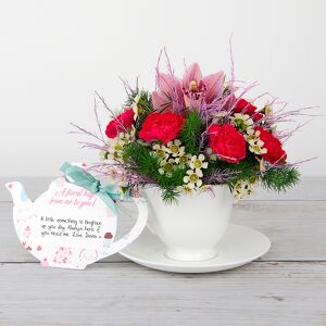www.flowercard.co.uk Pink Orchid, Spray Carnations, White Waxflower and Tree Fern inside Bone China Teacup