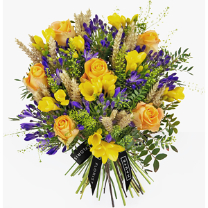 Haute Florist Sunburst with FREE Jug