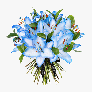 Haute Florist Lagoon Lilies - Luxury Flowers - Luxury Flower Delivery - Blue Lilies - Flowers By Post