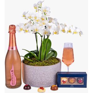 Haute Florist Rosé Orchid Gift