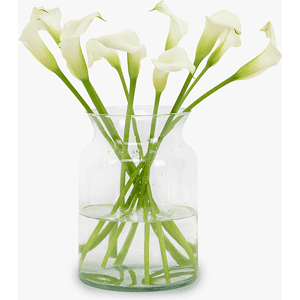 Haute Florist Vanilla Calla Lilies