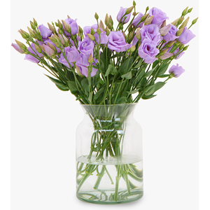 Haute Florist Lavender Lisianthus