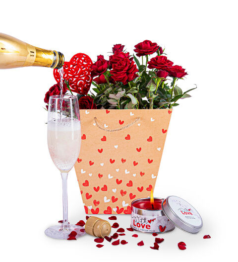 Prestige Hampers Roses and Bubbly - Valentine's Gifts - Valentine's Plants - Plant Gifts - Plant Gift Delivery - Indoor Gifts - Rose Plants