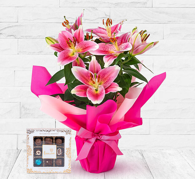 123 Flowers Lucious Lily Gift