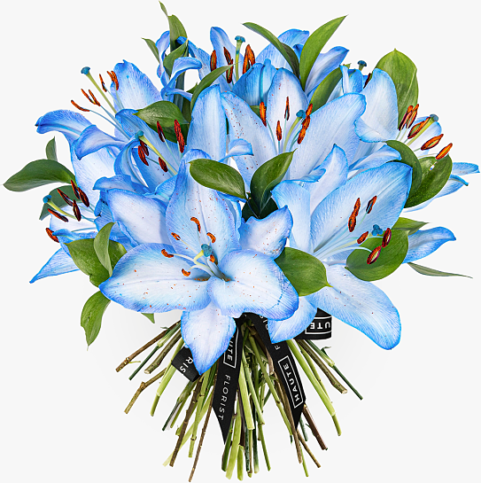 Haute Florist Lagoon Lilies - Luxury Flowers - Luxury Flower Delivery - Blue Lilies - Flowers By Post