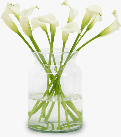 Haute Florist Vanilla Calla Lilies