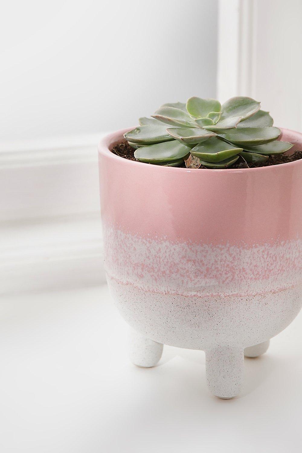 Boohoo Mojave Large Pink Planter  - Size: ONE SIZE