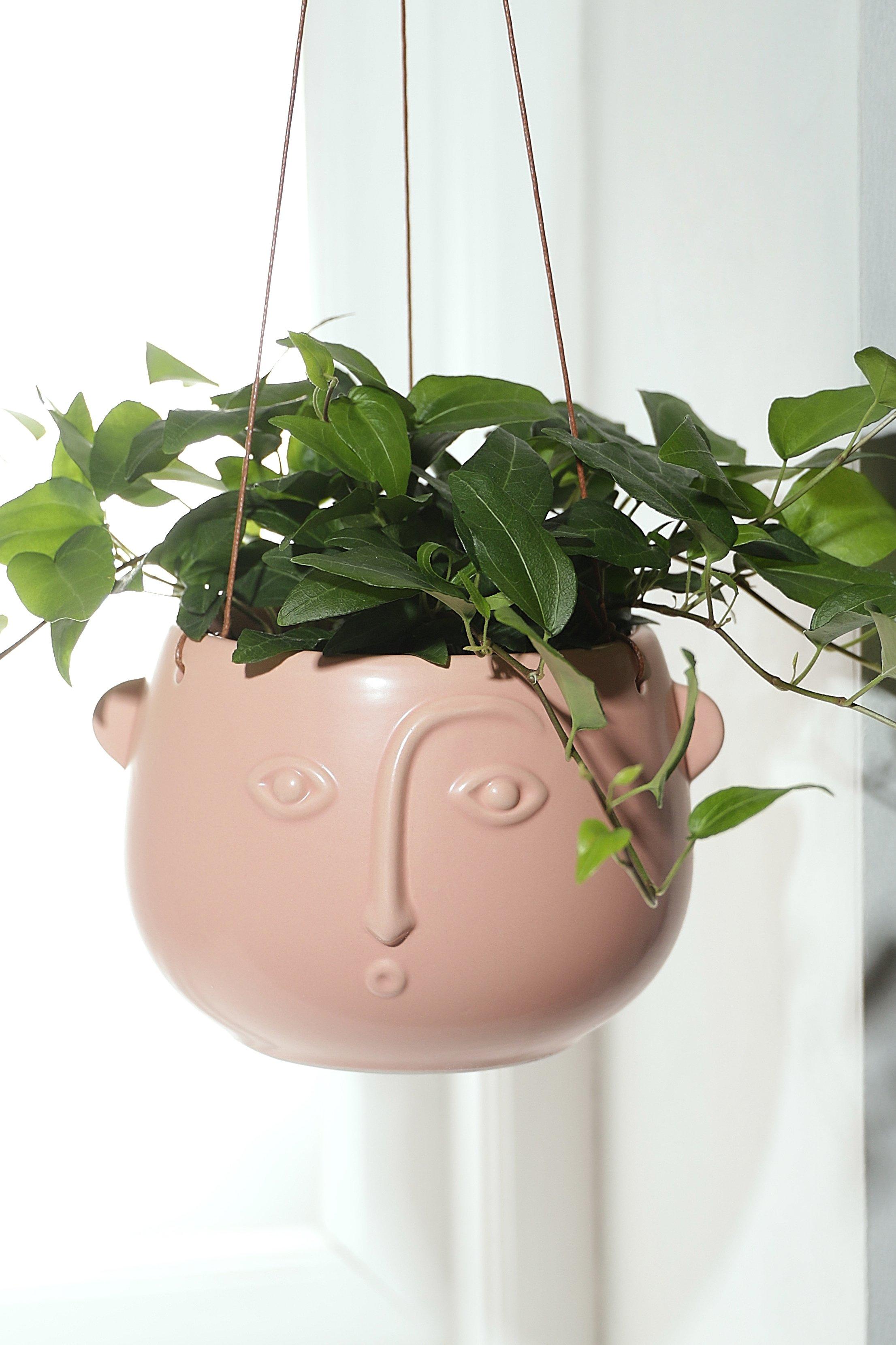 Boohoo Face Hanging Matte Planter- Pink  - Size: ONE SIZE